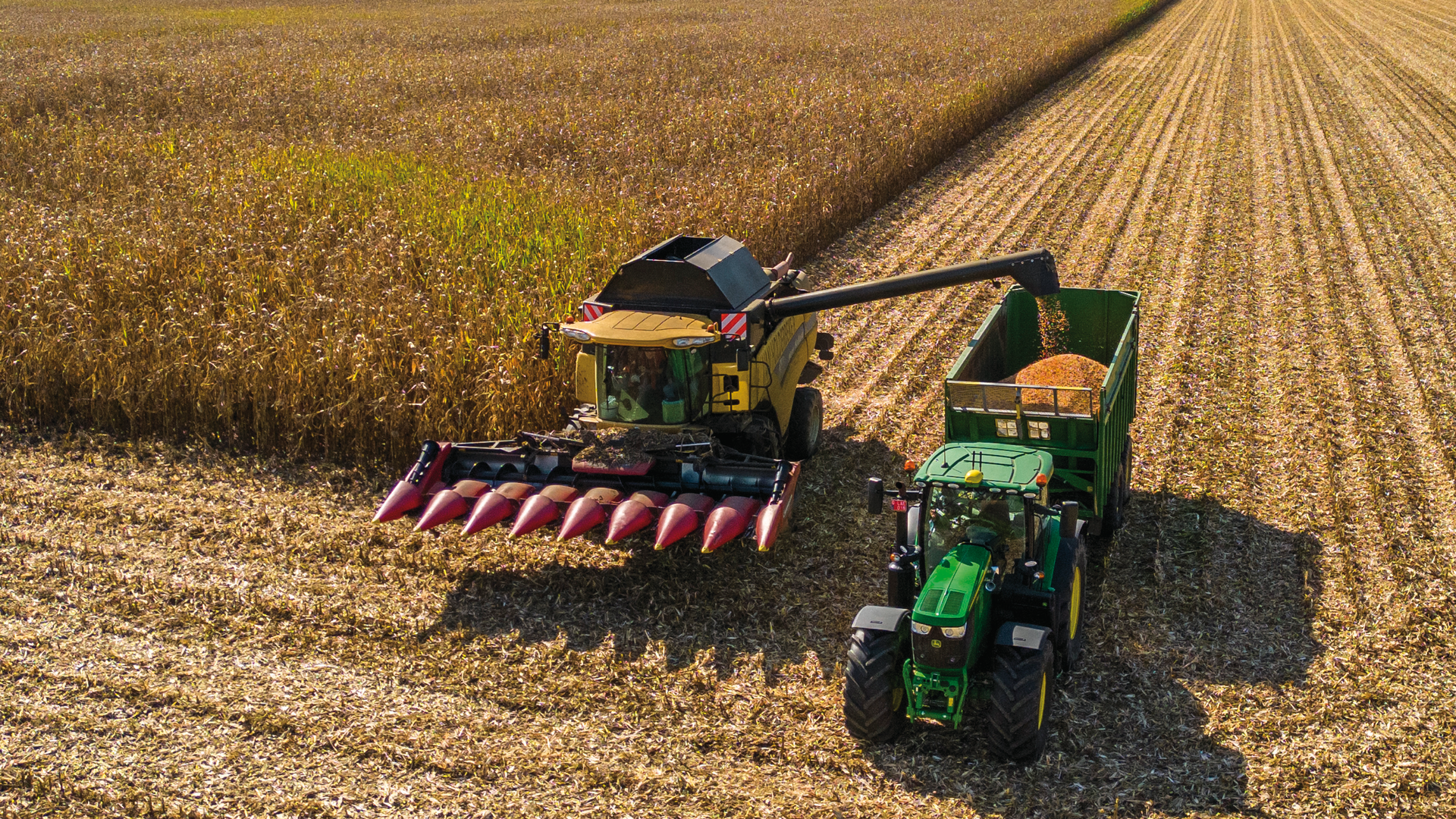 KWS0922_grain_corn_harvest_drone_shot_239.png