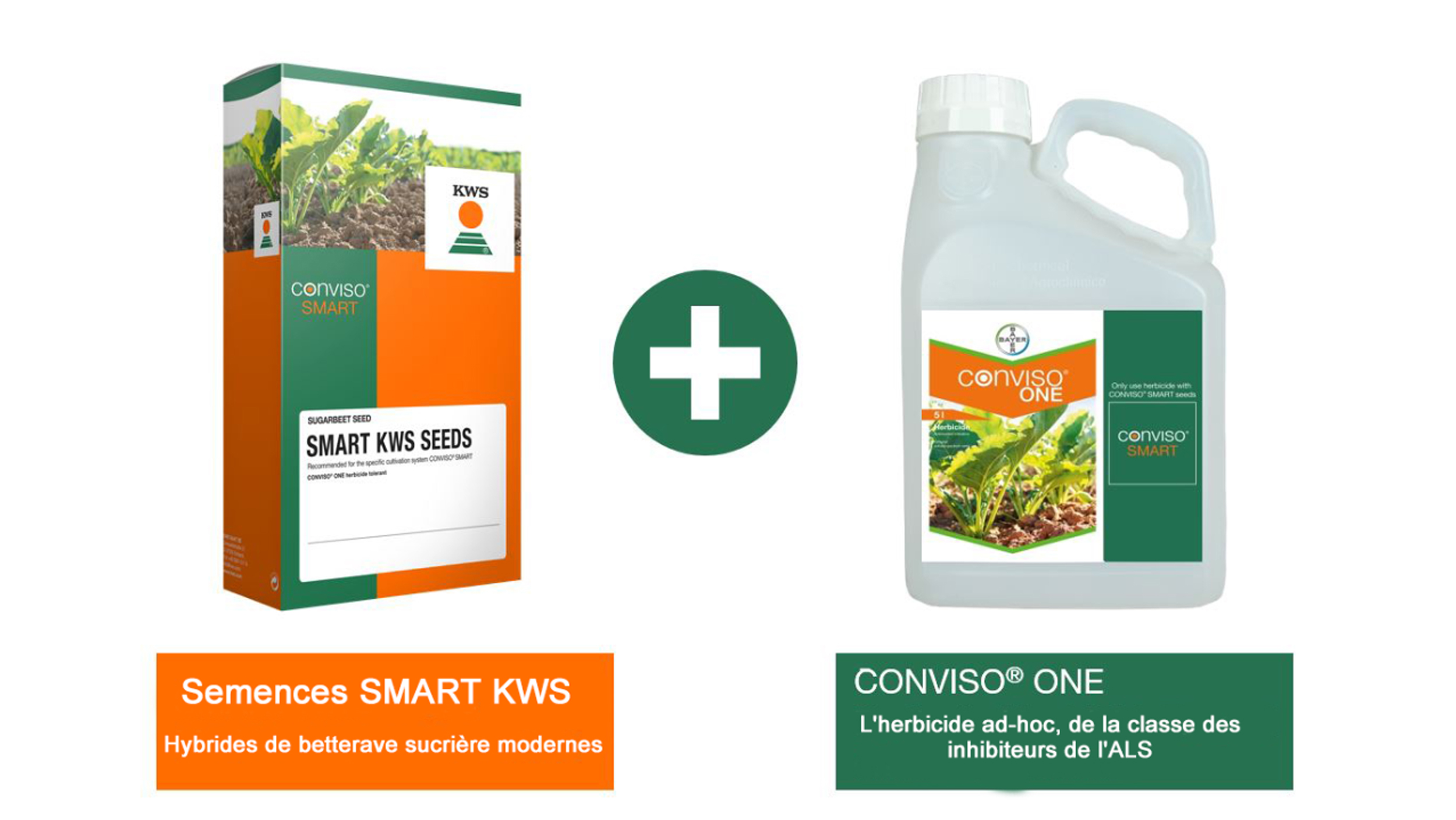 CONVISOR-SMART_SMART-KWS-semences_CONVISOR-ONE-Bayer_herbicide_max_width_1050.png