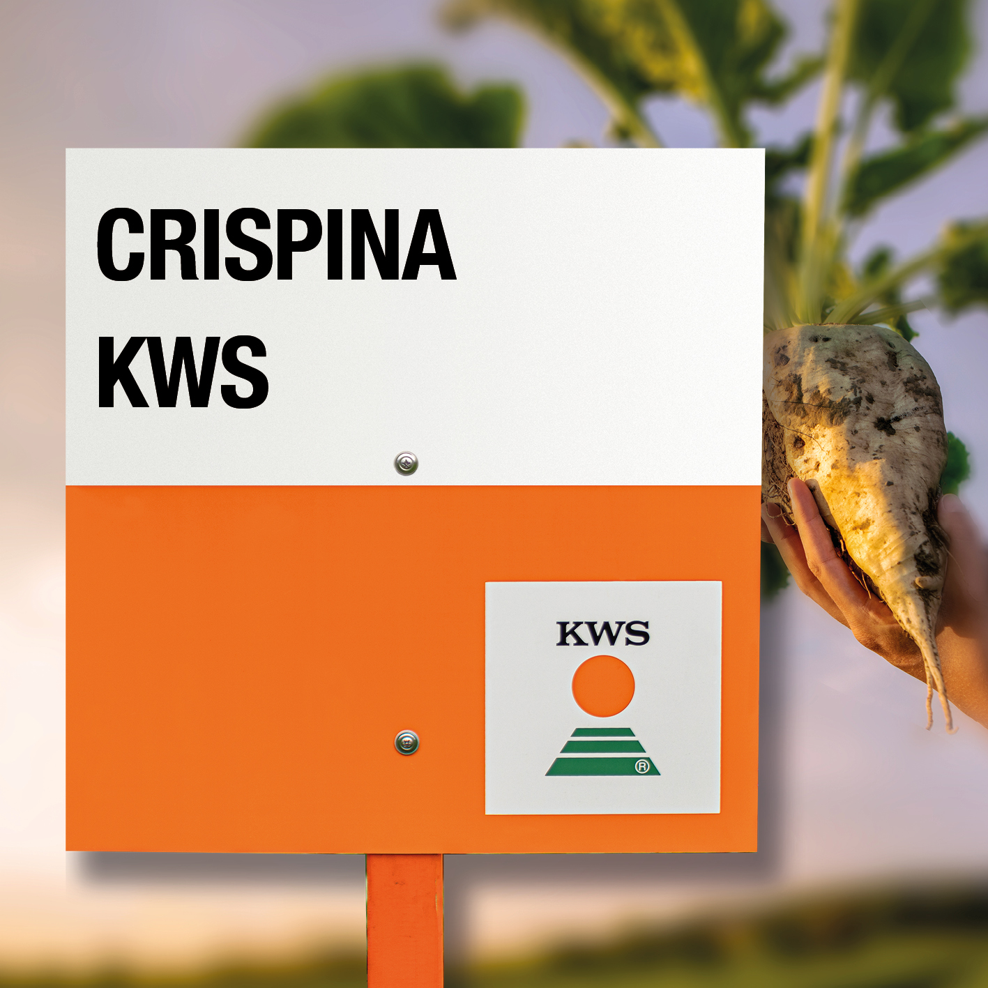 CRISPINA-KWS_CL.jpg