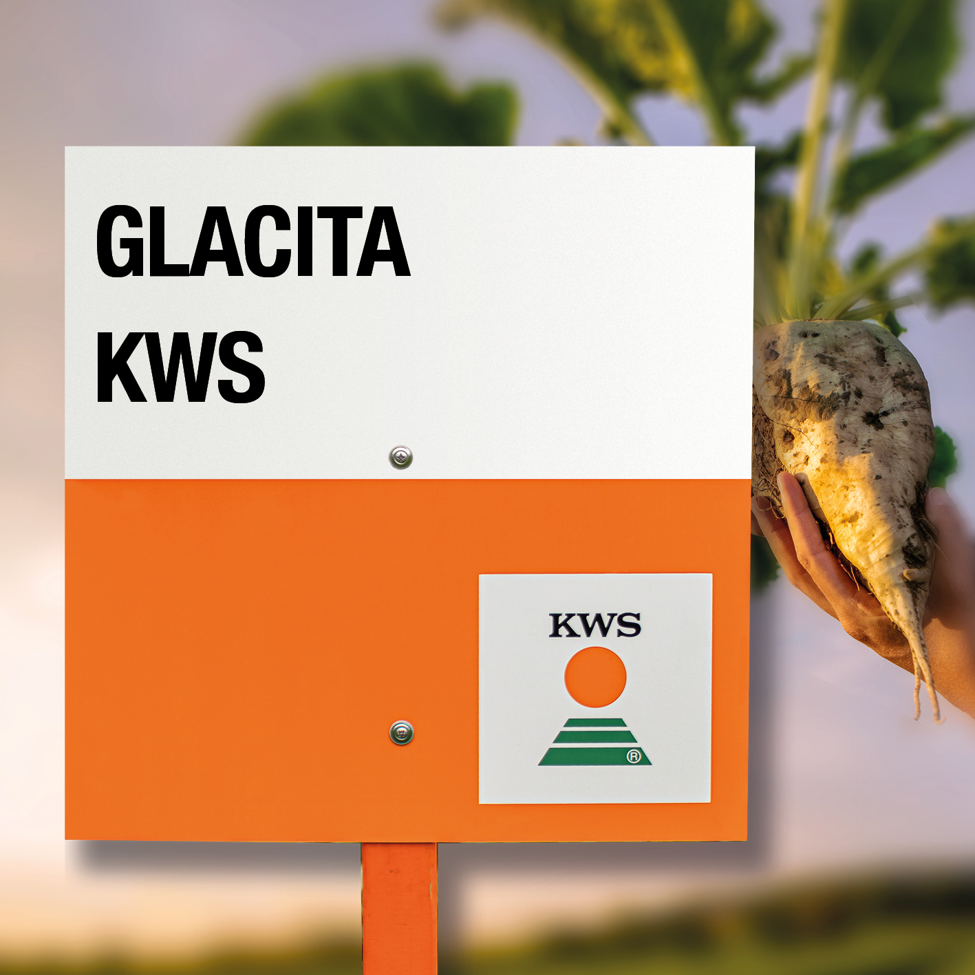 GLACITA-KWS_CL.jpg