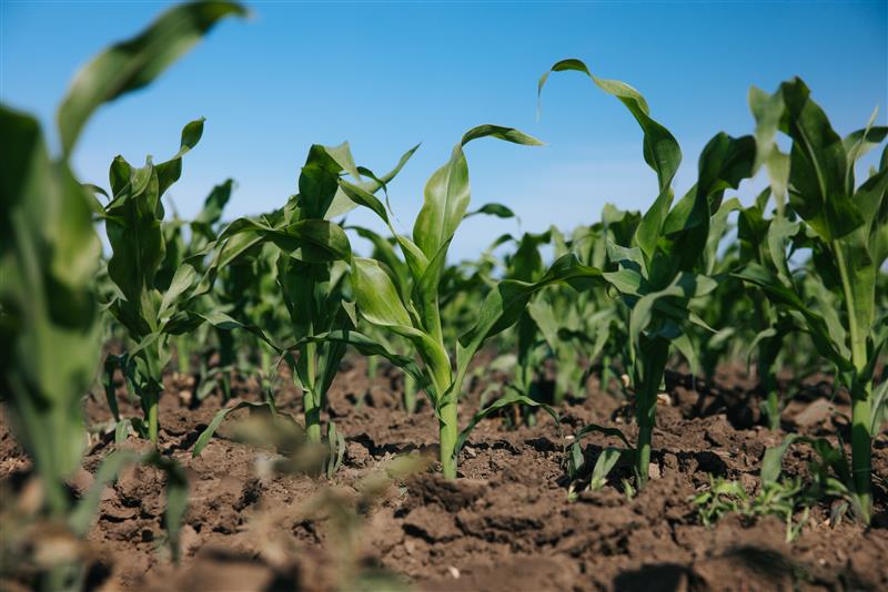 KWS ClimaCONTROL3 infographic