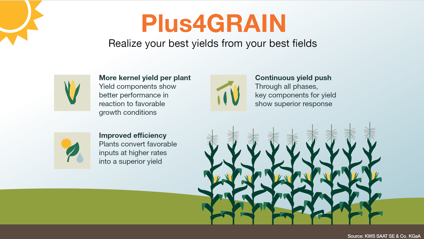 KWS Plus4GRAIN infographic