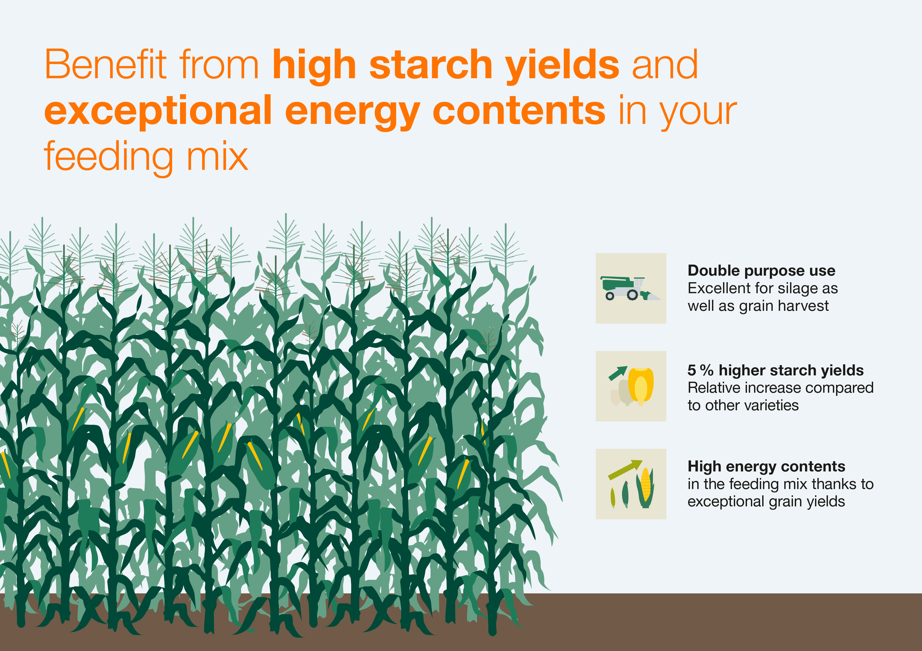 EnergyBOOST Benefit from high starch yield and energy content