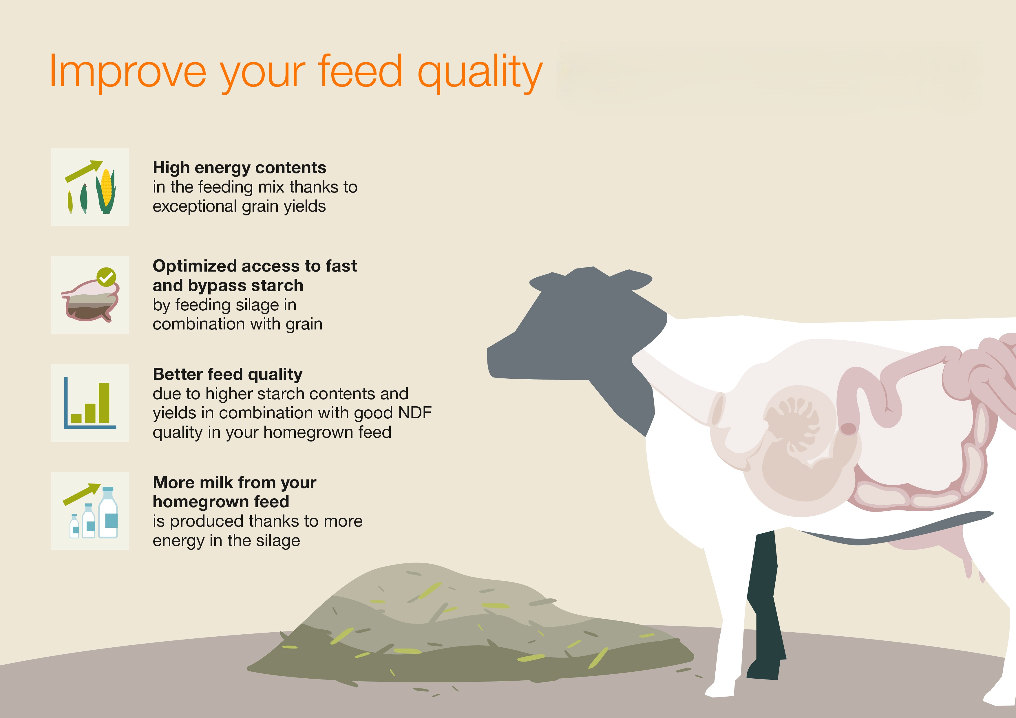 EnergyBOOST Silage Corn Improve your feed quality