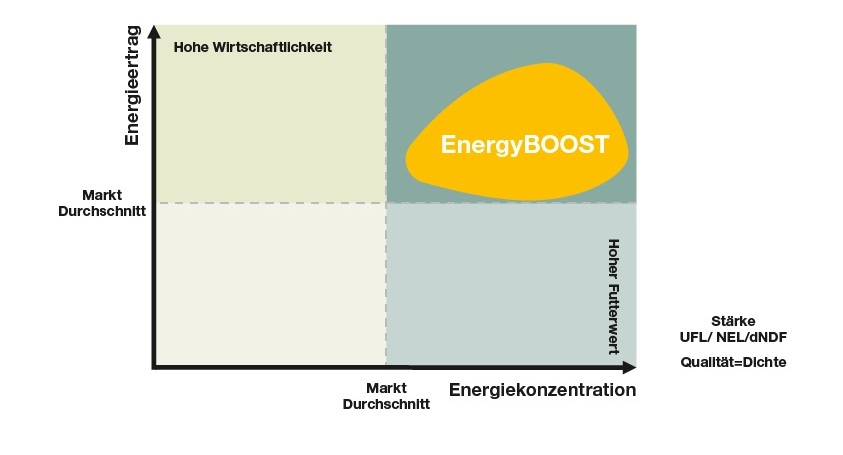 EnergyBOOST Corn Silage Graph Energy Yield Energy Concentration