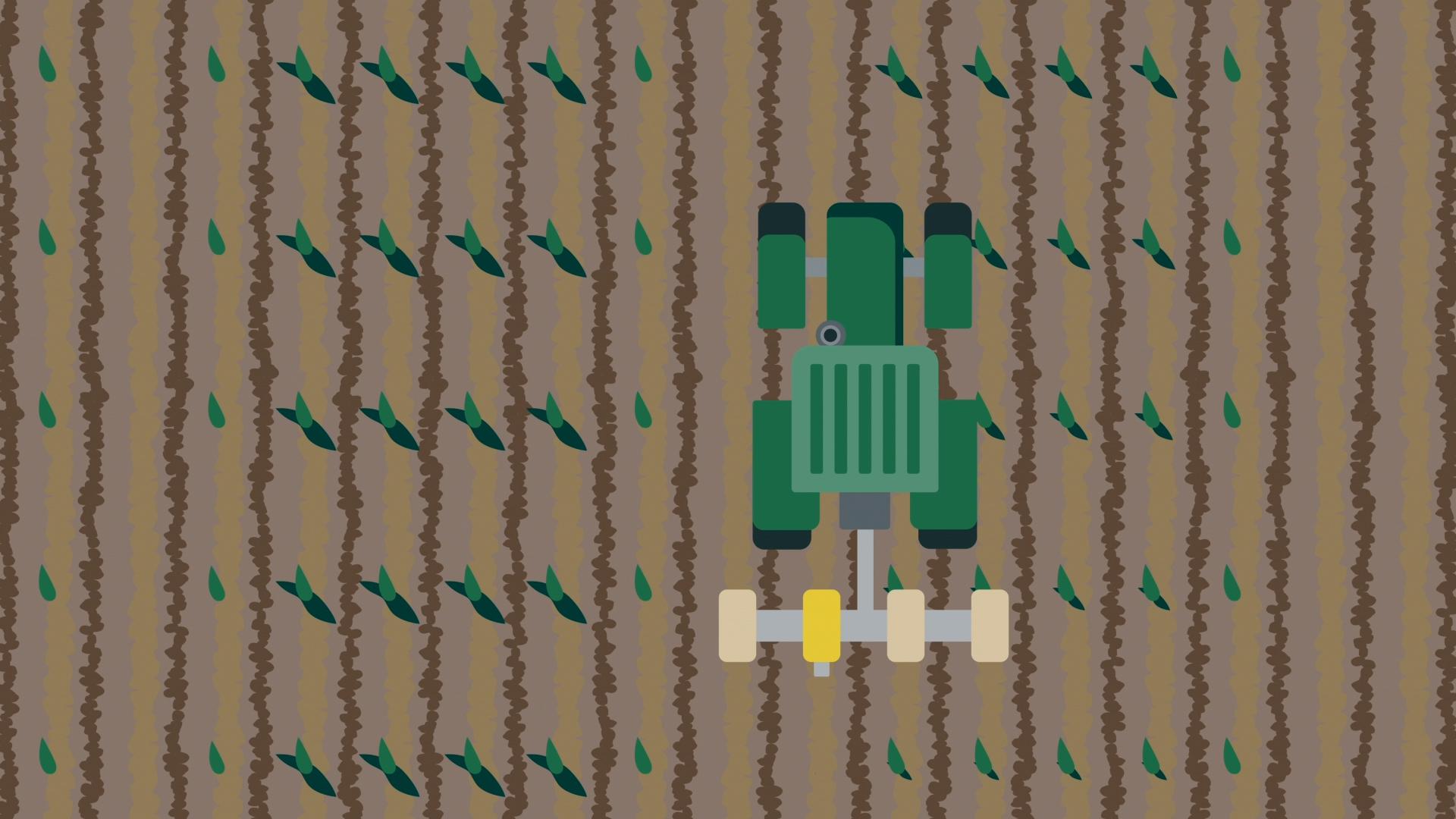sowing corn male rows graphic