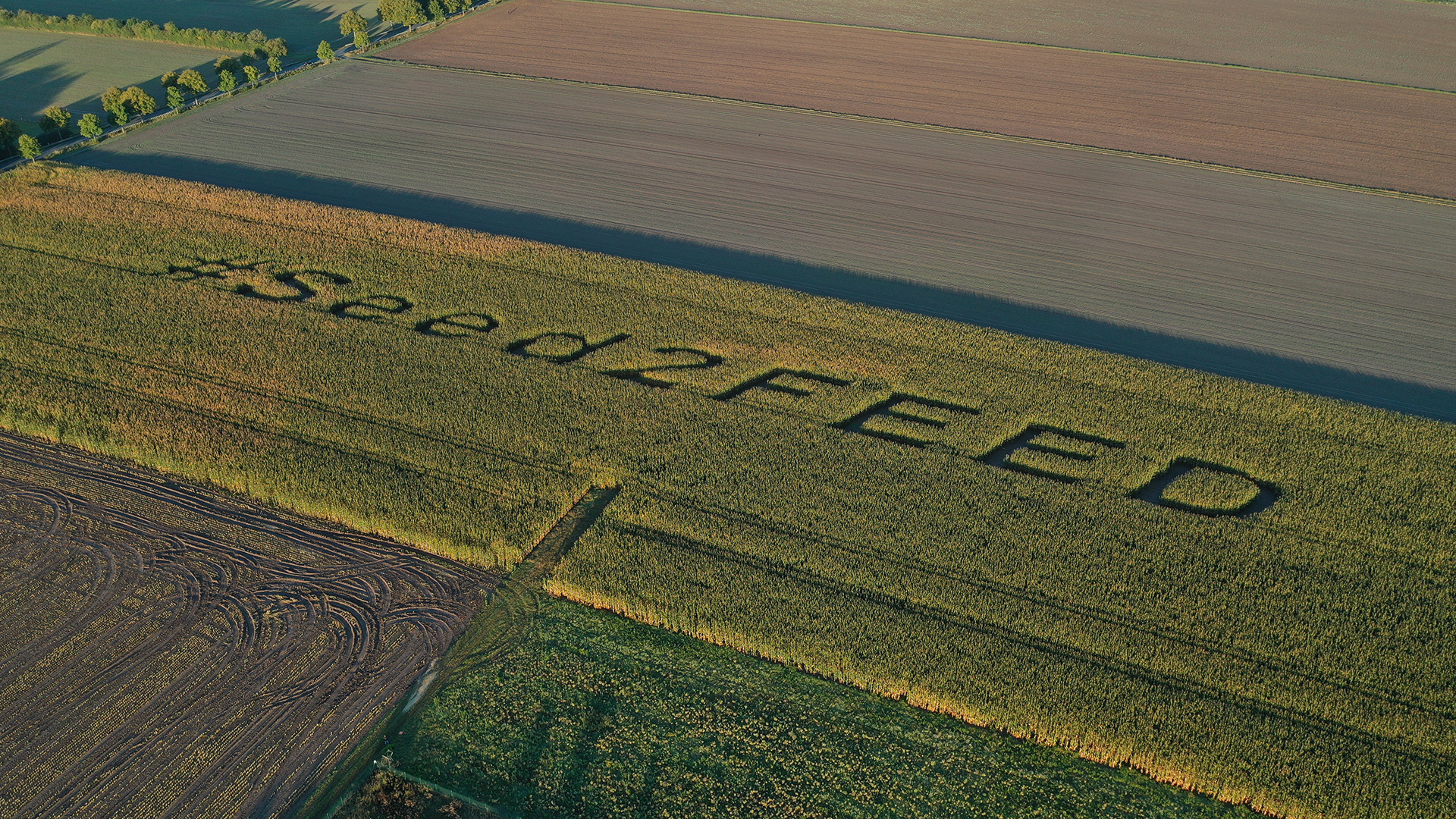 BP_10-Titelbild-Seed2Feed.png