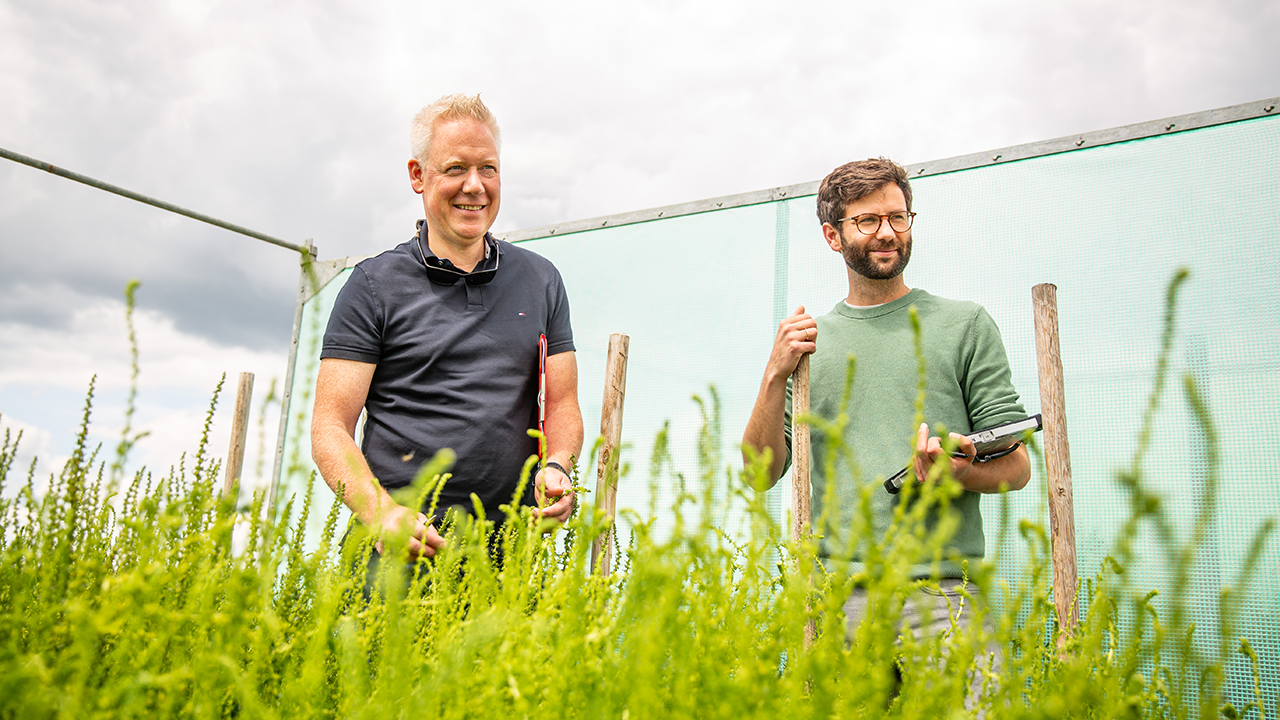 links: Jens Christoph Lein, Leiter Zuckerrüben-Züchtung; rechts: Nils Stolte, Zuckerrübenzüchter