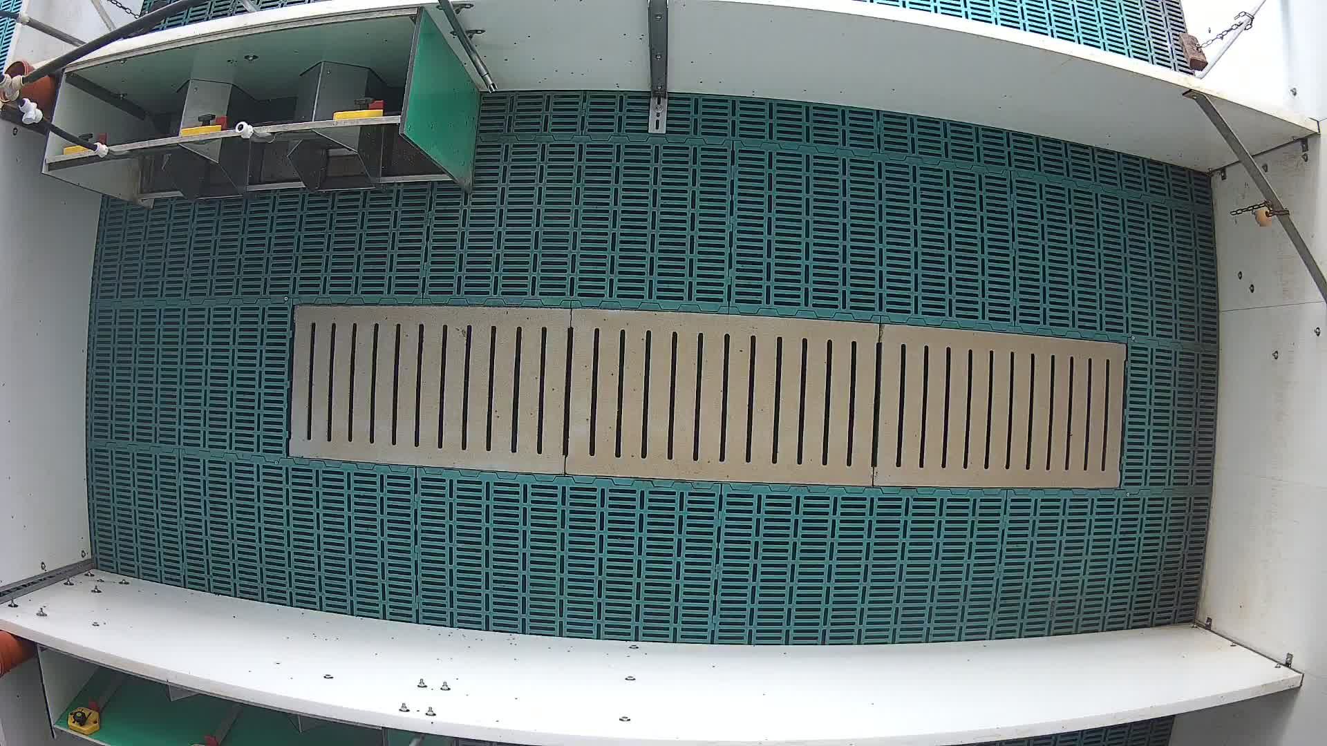 Beobachtungsbucht im Versuchsabteil für 12 Ferkel (Foto: Lütke-Dörhoff)