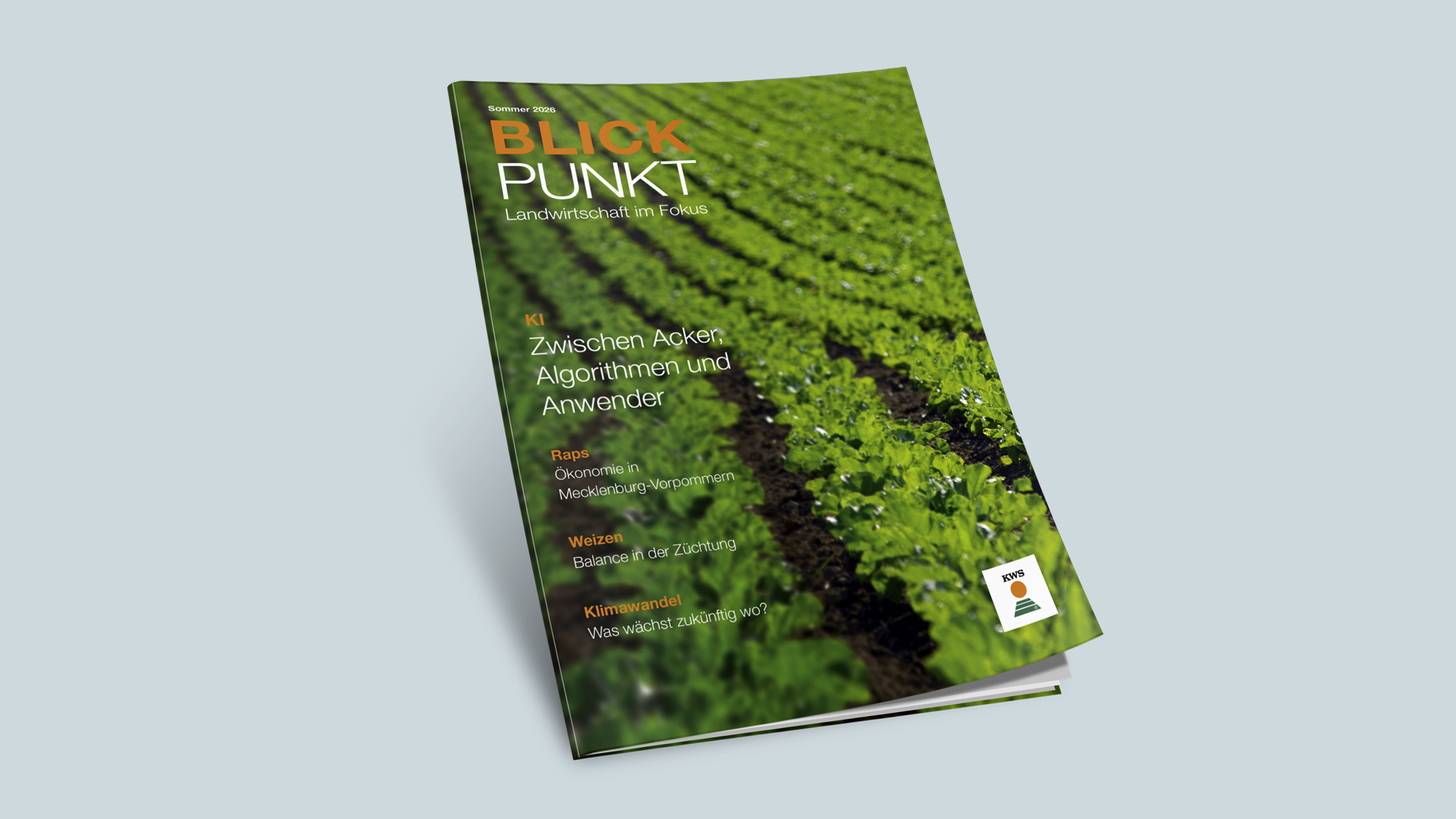 KWS BlickPunkt Magazin