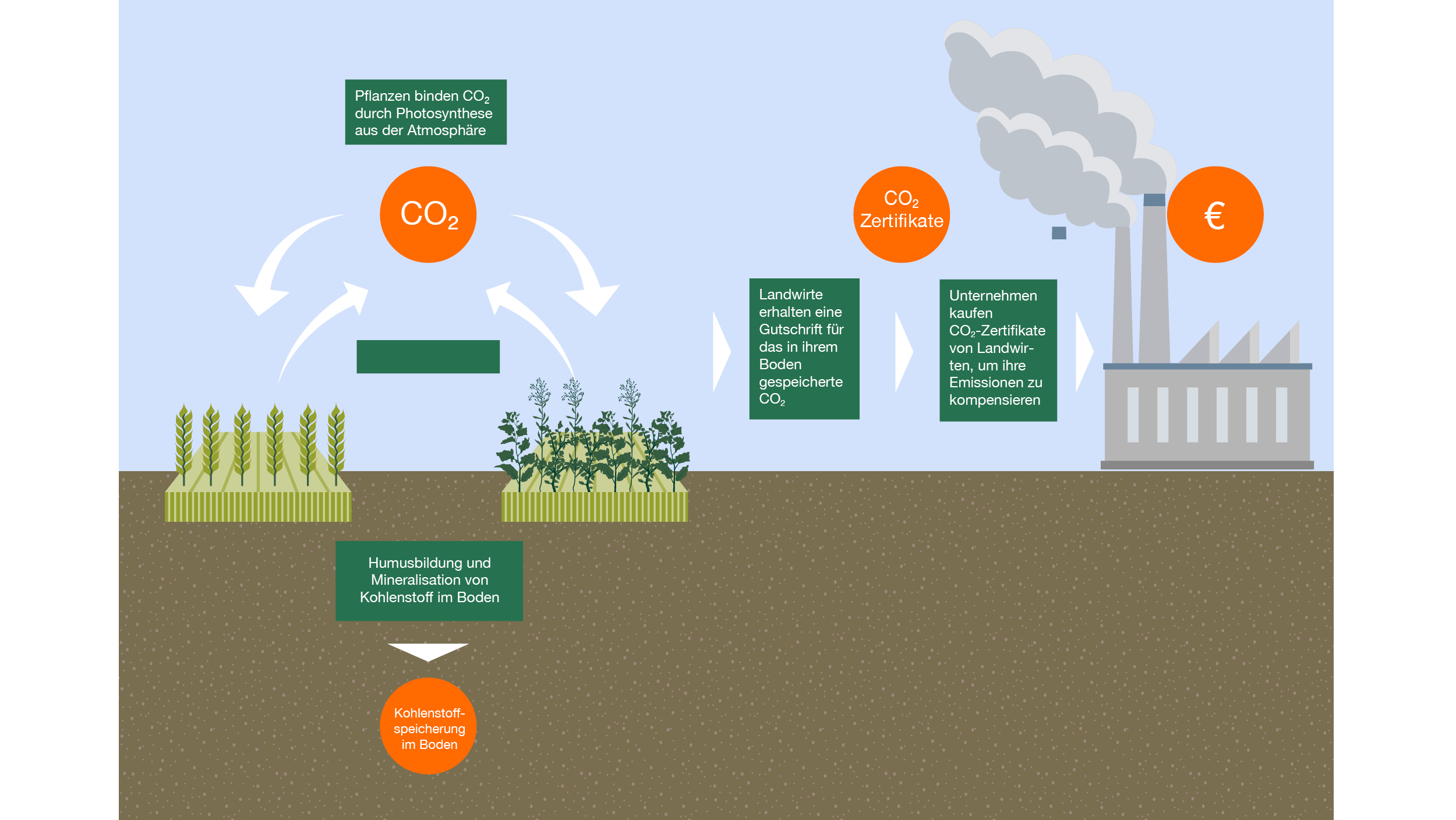 Carbon Farming: Das Klima schützen und Boden gut machen