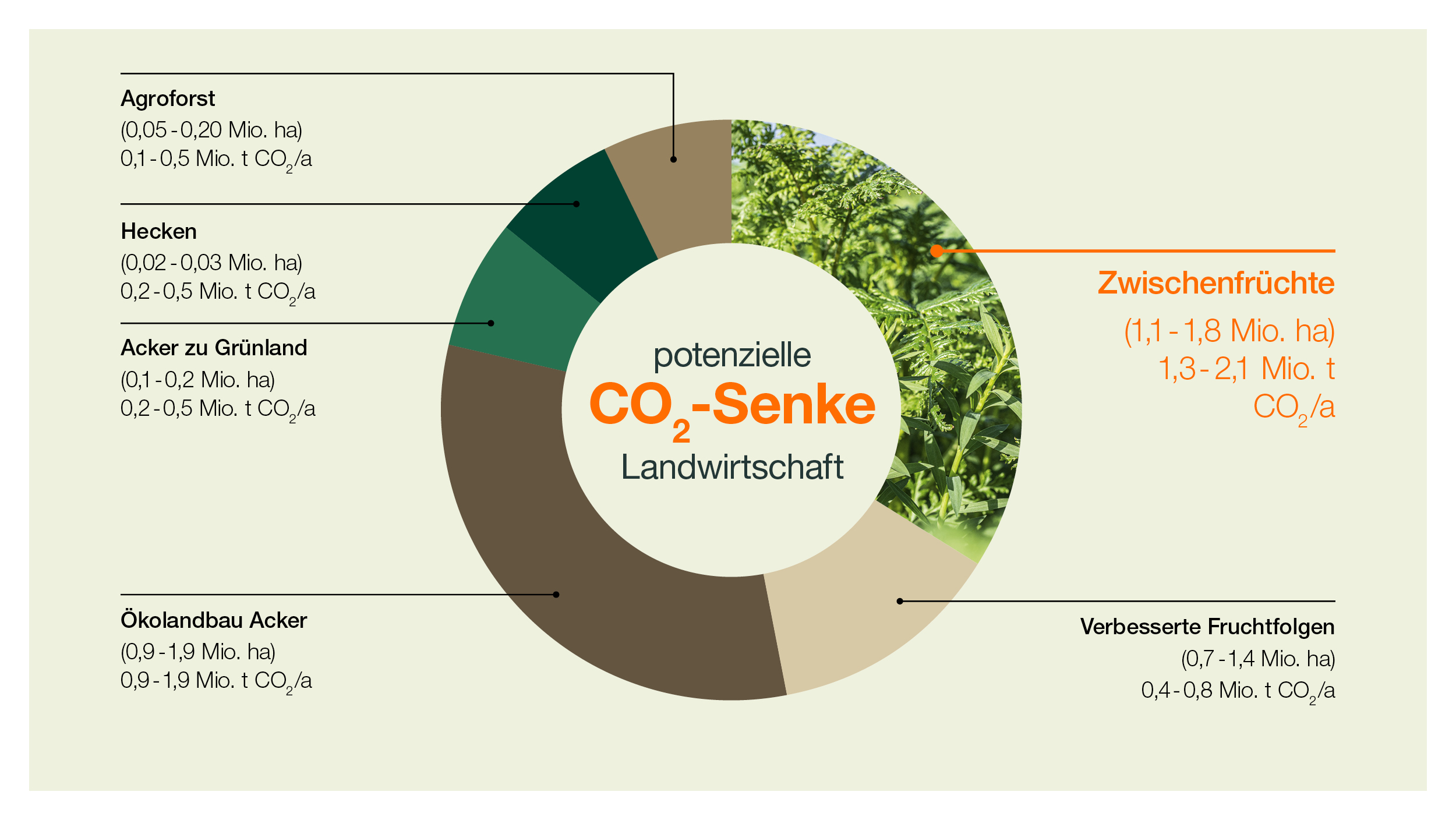 Potenzielle CO2-Senke