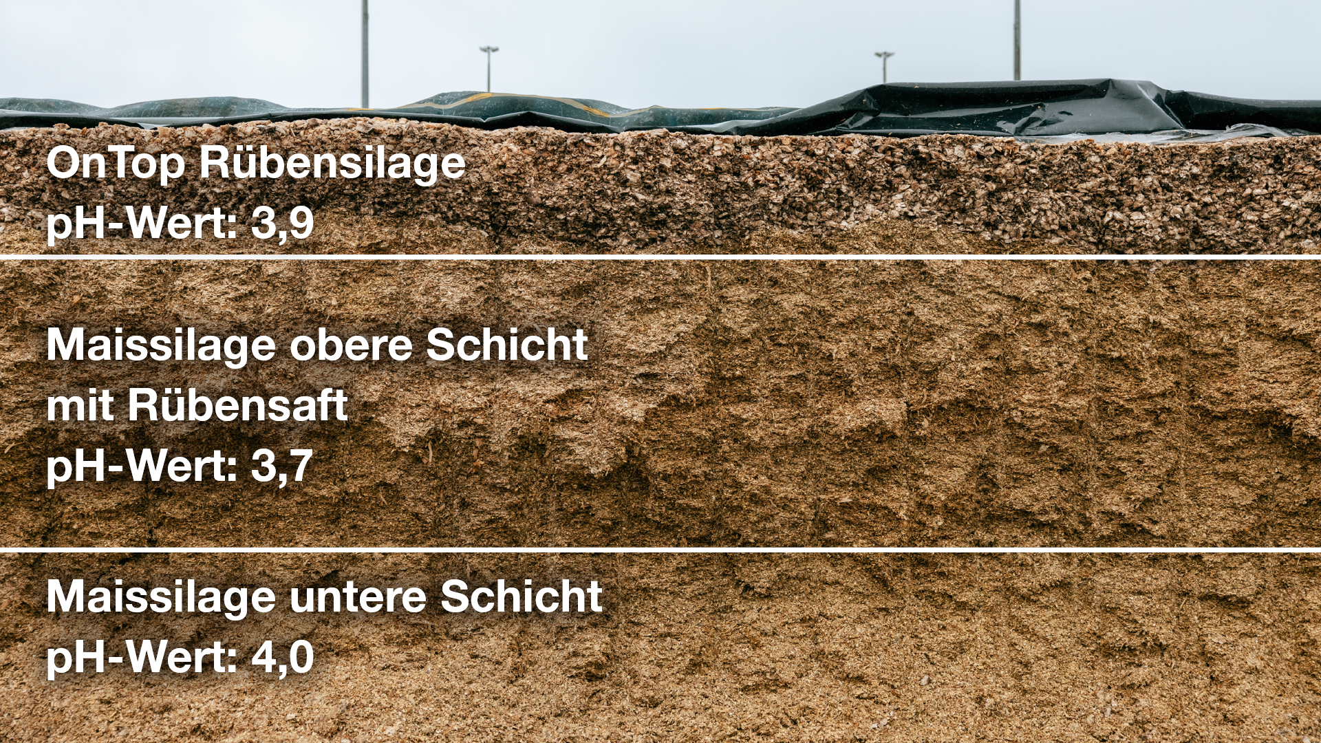 Abb. 4: Anschnitt einer OnTop-Silage mit 3 unterschiedlichen Schichten