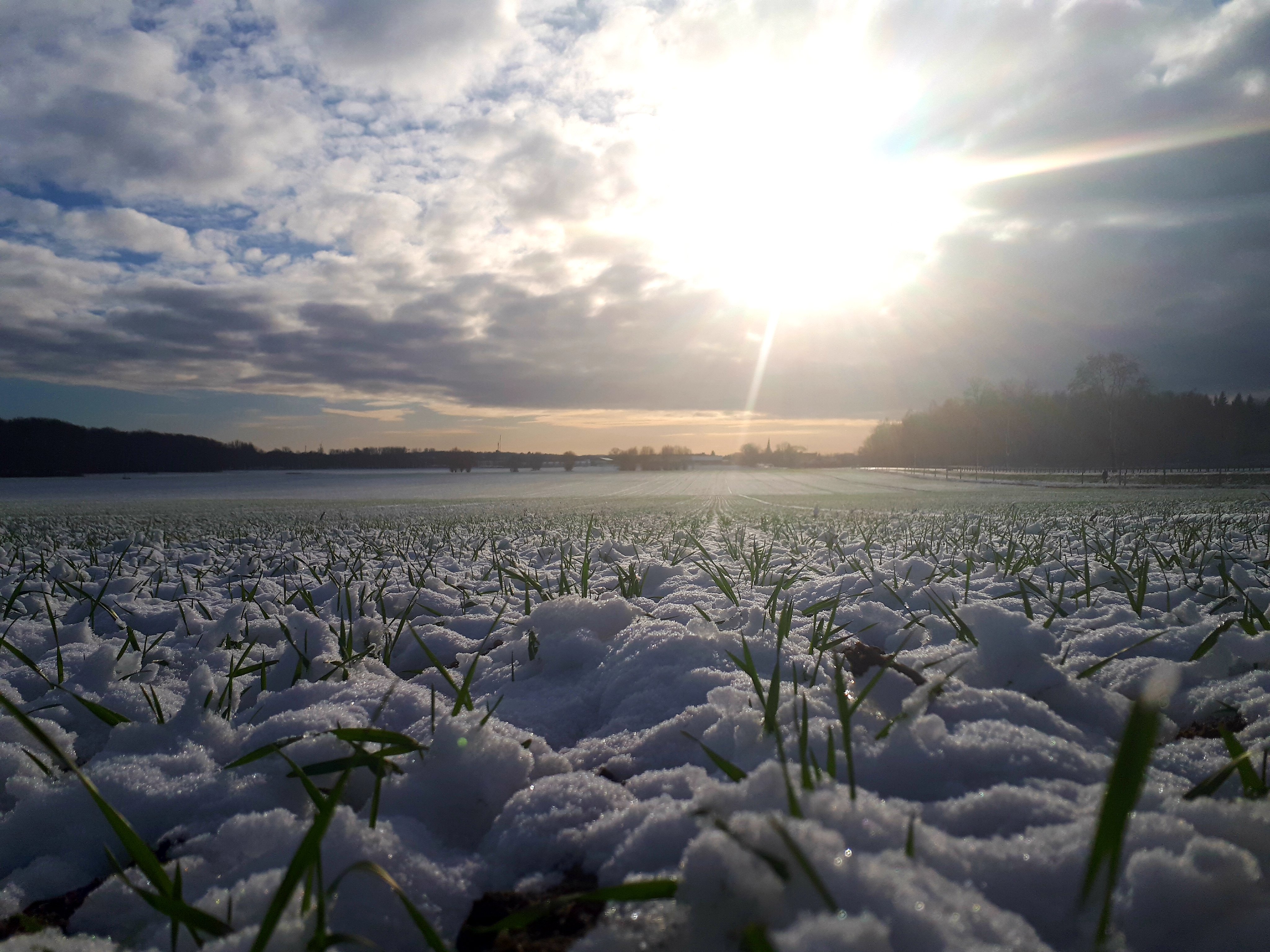 Feld mit Schnee bedeckt Wintersonne