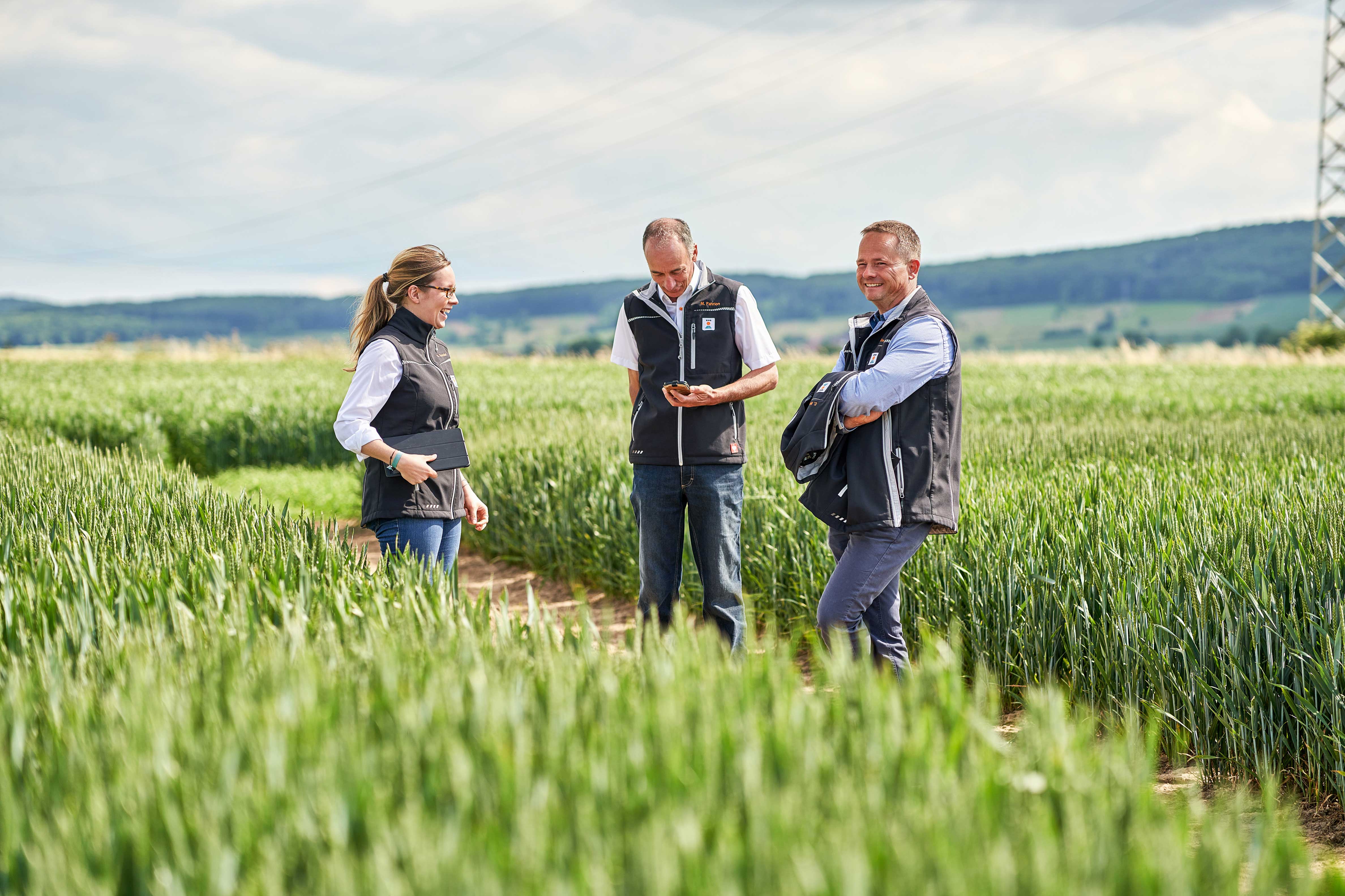 KWS Getreide Vertriebsberater im Gespräch im Weizenfeld