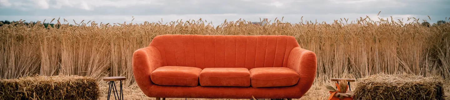 Das-orange-Sofa-Summer-Edition.png