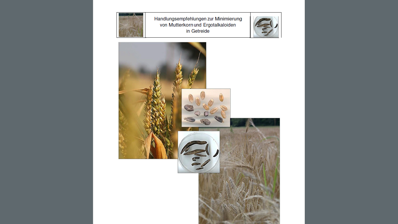 Handlungsempfehlungen zur Minimierung von Mutterkorn und Ergotalkaloiden in Getreide 