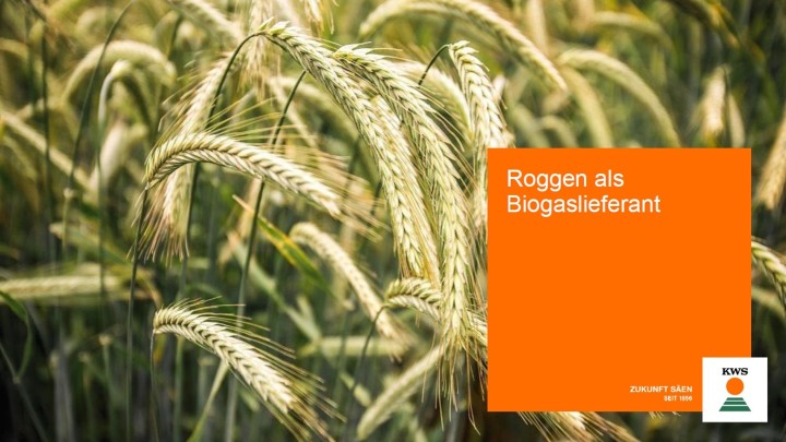 Roggen als Biogaslieferant - Broschüre