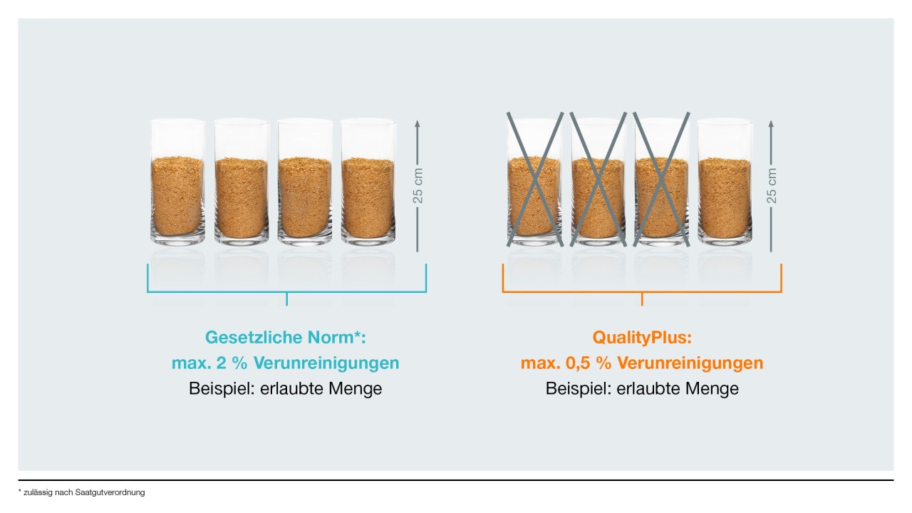 QualityPlus Getreide Produkte KWS SAAT SE & Co. KGaA