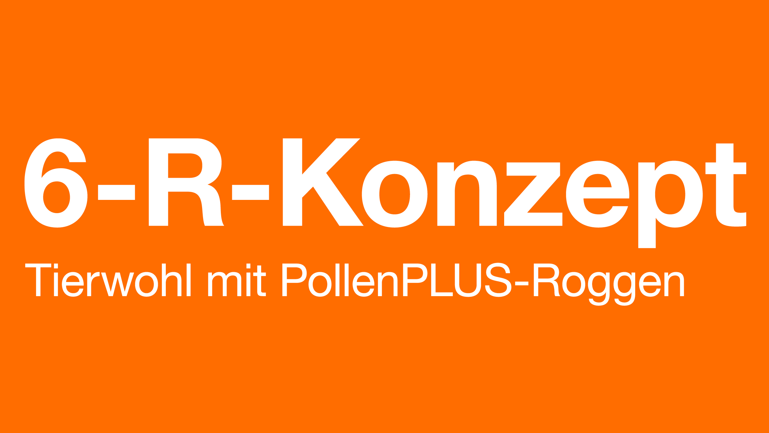 6-R-Konzept_Logo_orange.jpg