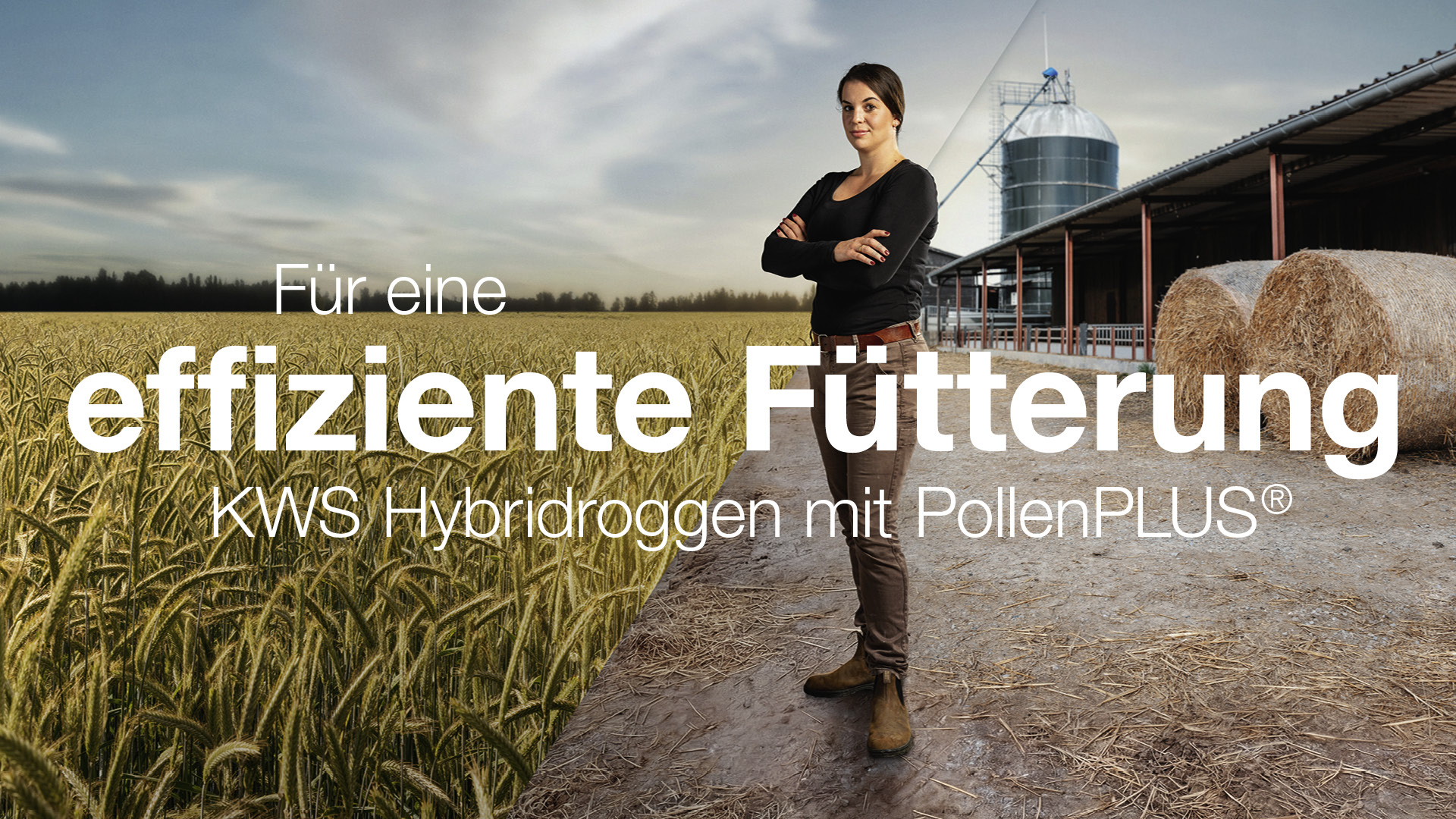 Effiziente Fütterung mit Roggen