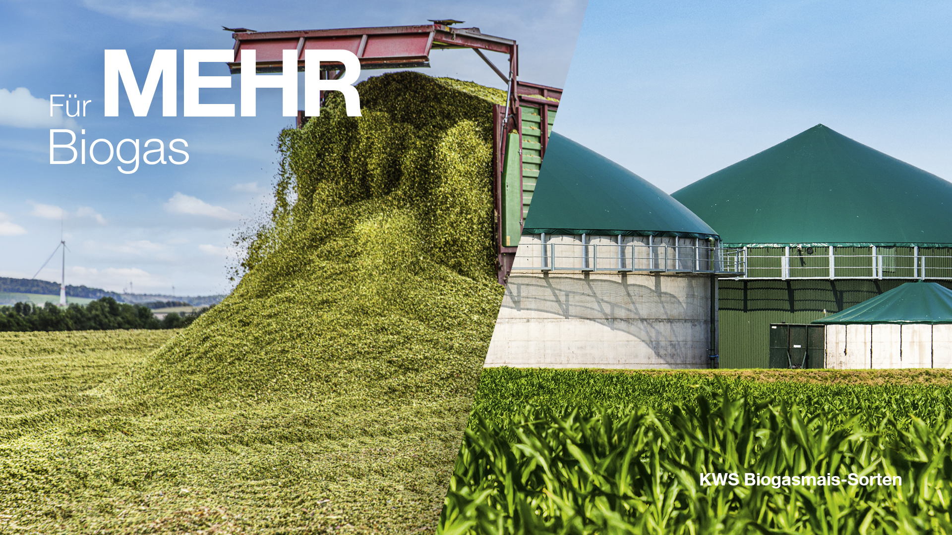 Biogas