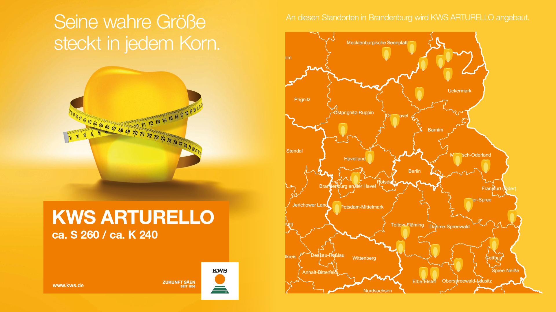An diesen Standorten in Brandenburg wird KWS ARTURELLO angebaut.