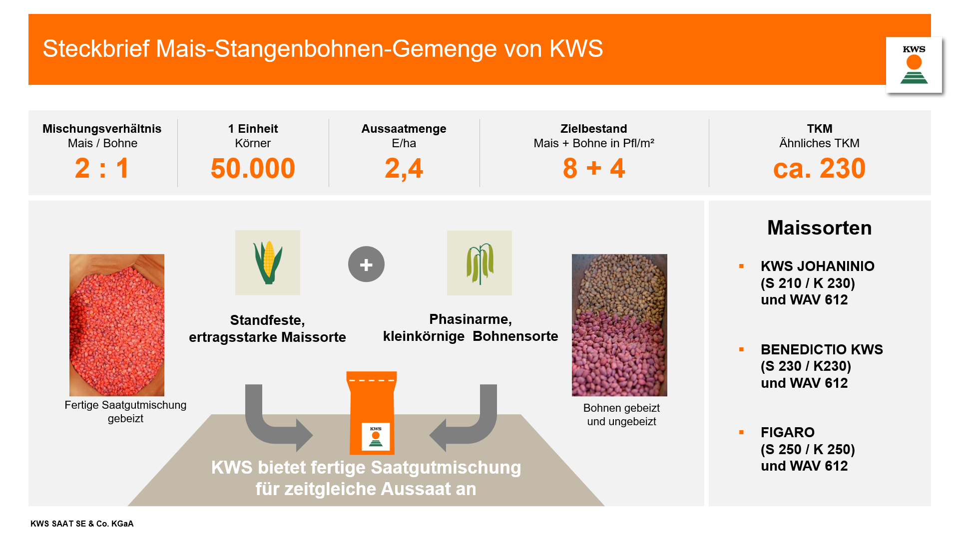 Steckbrief Mais-Stangenbohnen-Gemenge von KWS