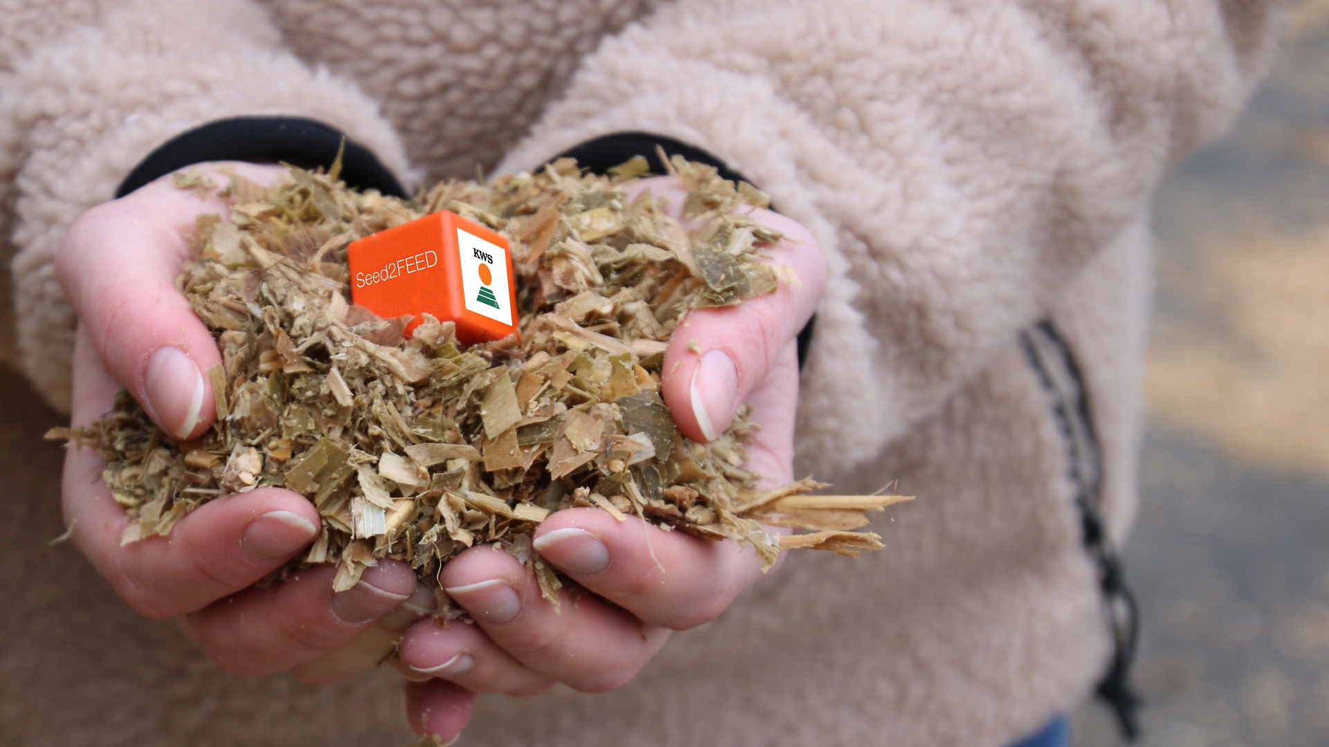 Seed2FEED box and corn silage hands