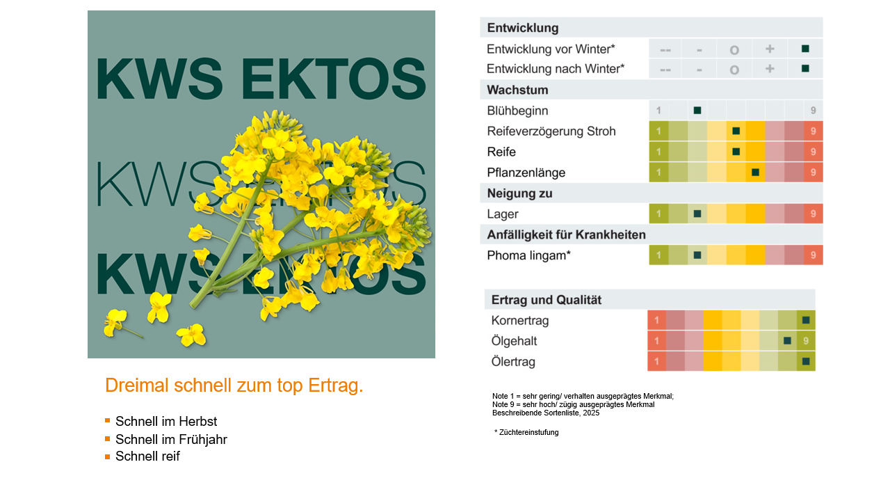 KWS EKTOS Sorteninformation