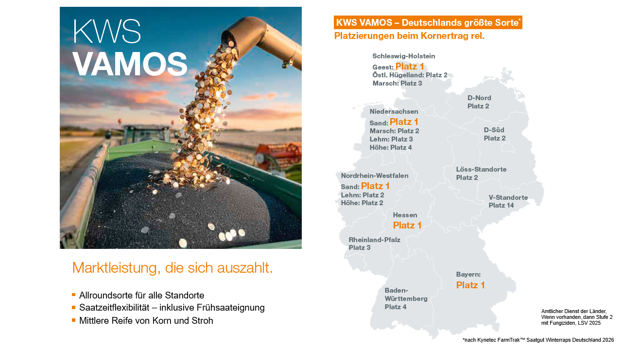 KWS VAMOS Sorteninformation