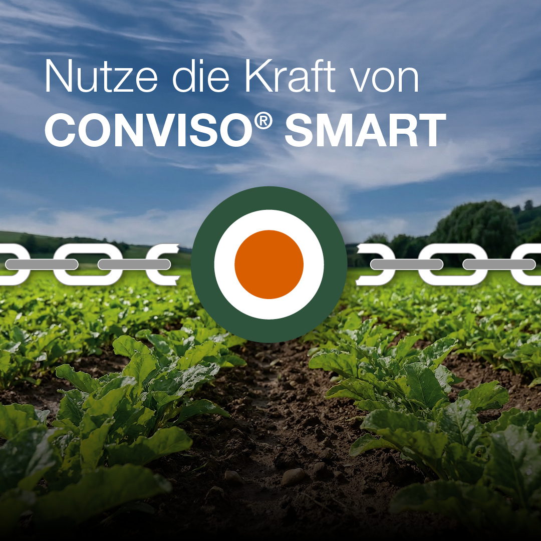 CONVISO SMART