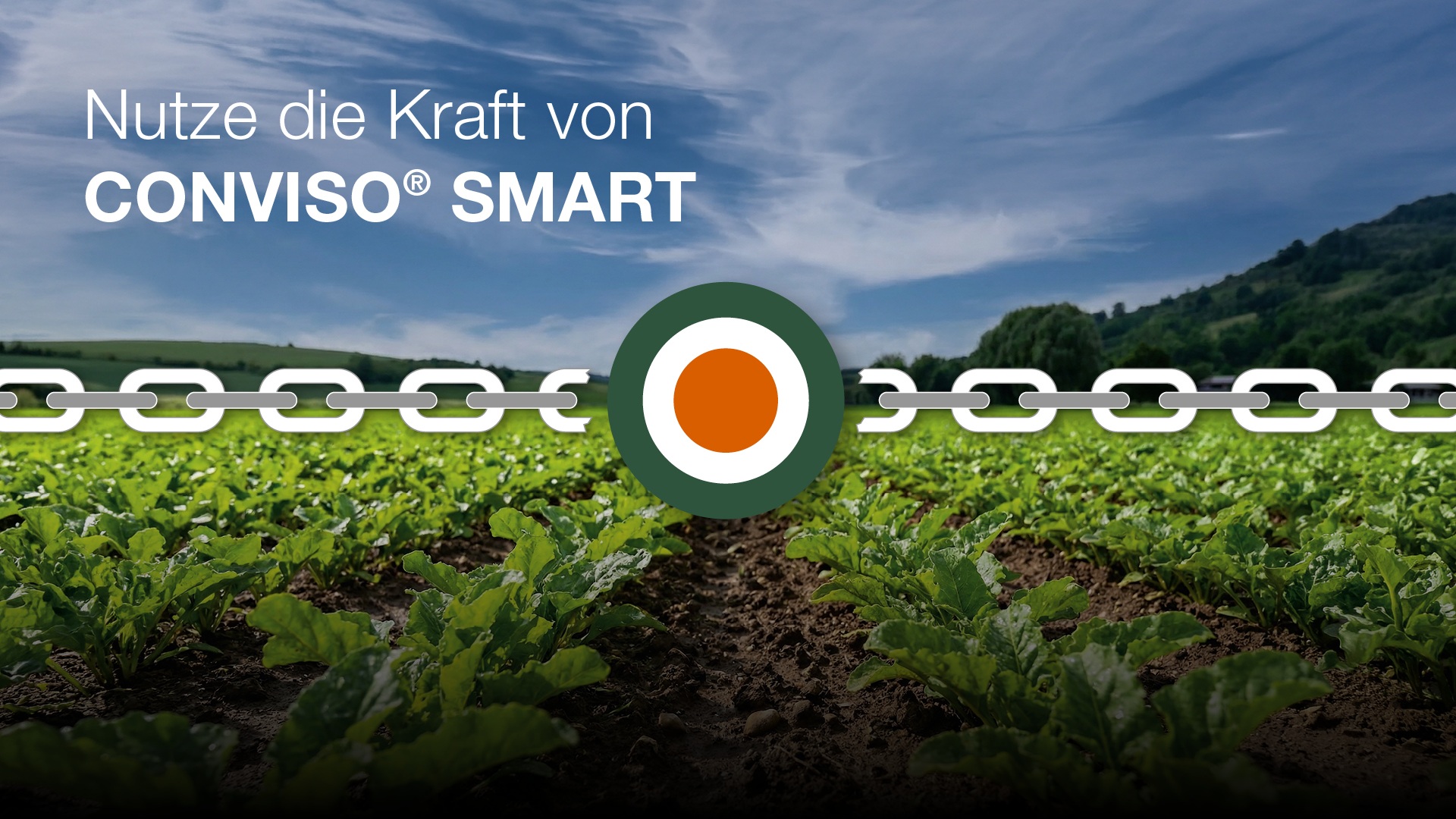 Kraft von CONVISO