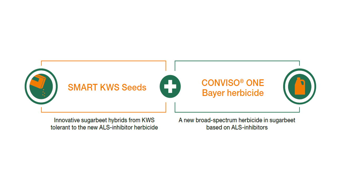 conviso__smart_is_an_innovative_weed_control_system_for_sugarbeet.png