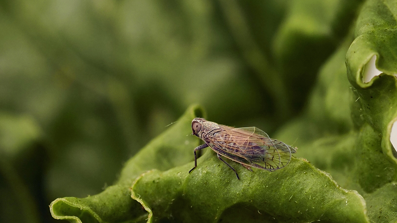 Interaktiver Leistungsvergleich