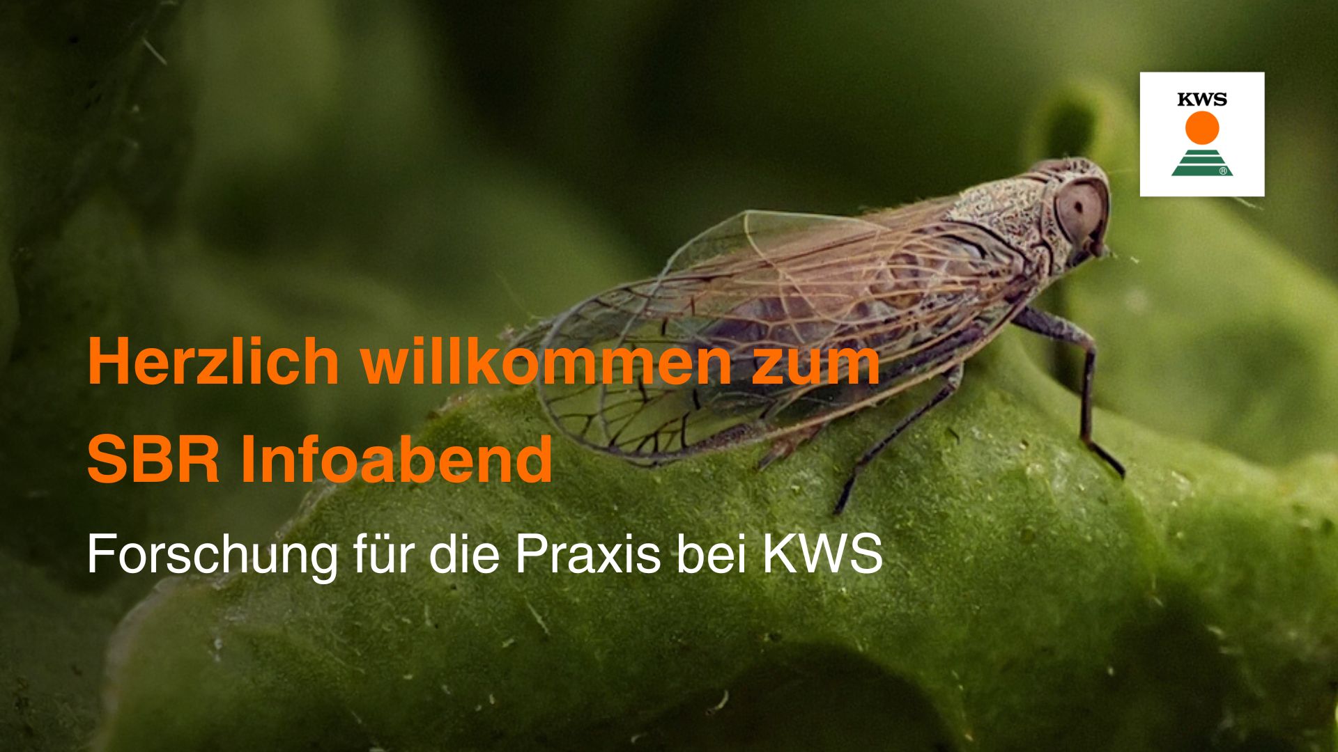 SBR Infoabend