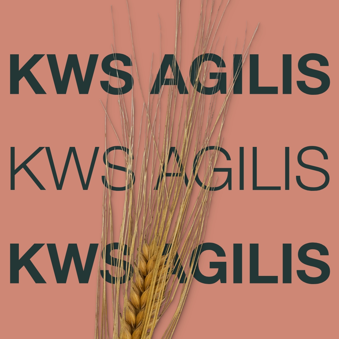 kws_agilis_keyvisual_dk_1x1_1.jpg