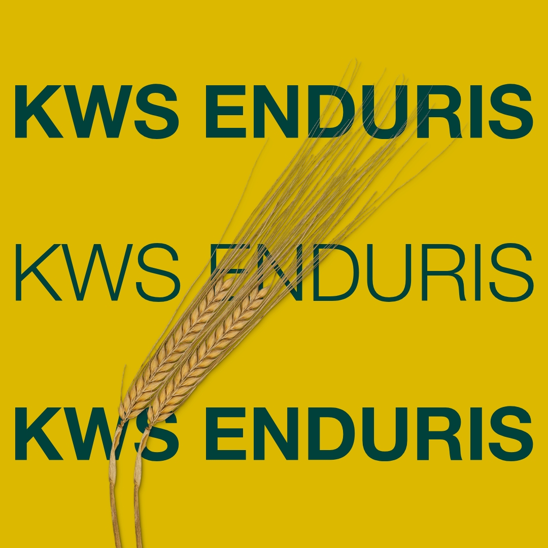 kws_enduris_keyvisual_dk_1x1.jpg