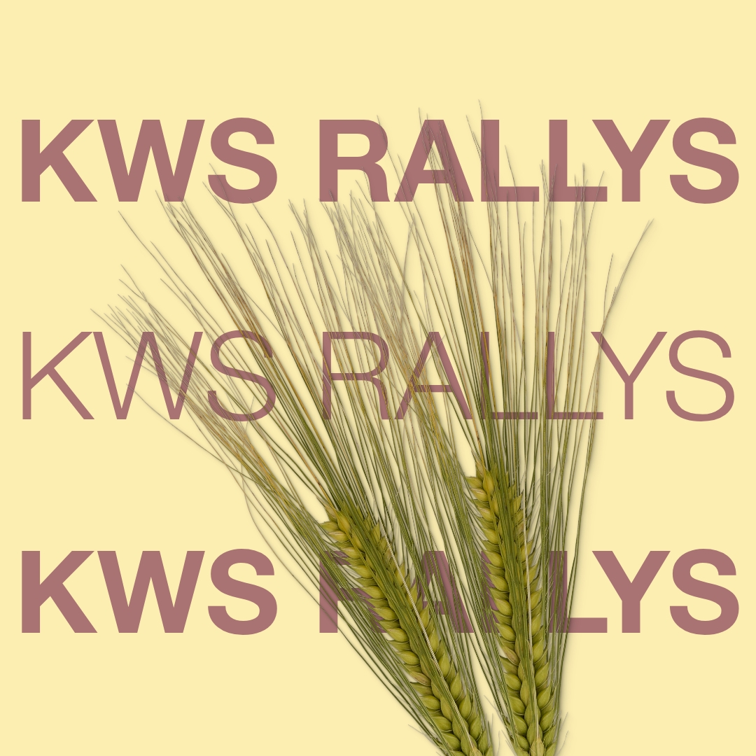 kws_rallys_keyvisual_dk_1x1_1.jpg