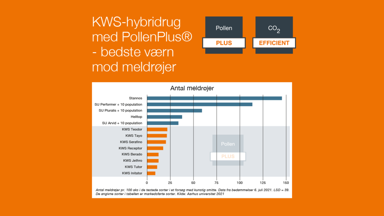 KWS_DK_PollenPlus_Flakkebjerg_2020.jpg