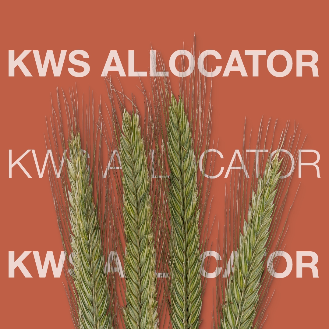 KWS_ALLOCATOR_Keyvisual_DK.jpg