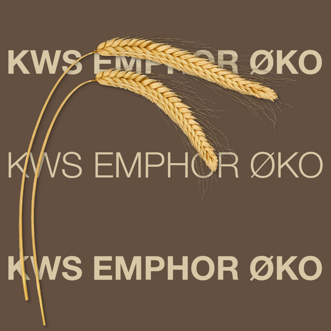 KWS_EMPHOR_OKO_Keyvisual_DK.jpg