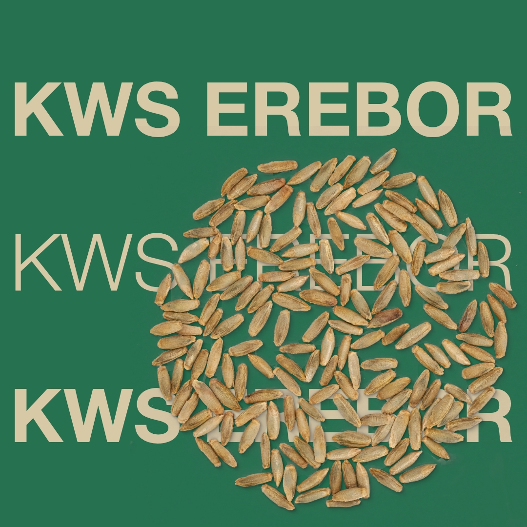 KWS_EREBOR_Keyvisual_DK.jpg