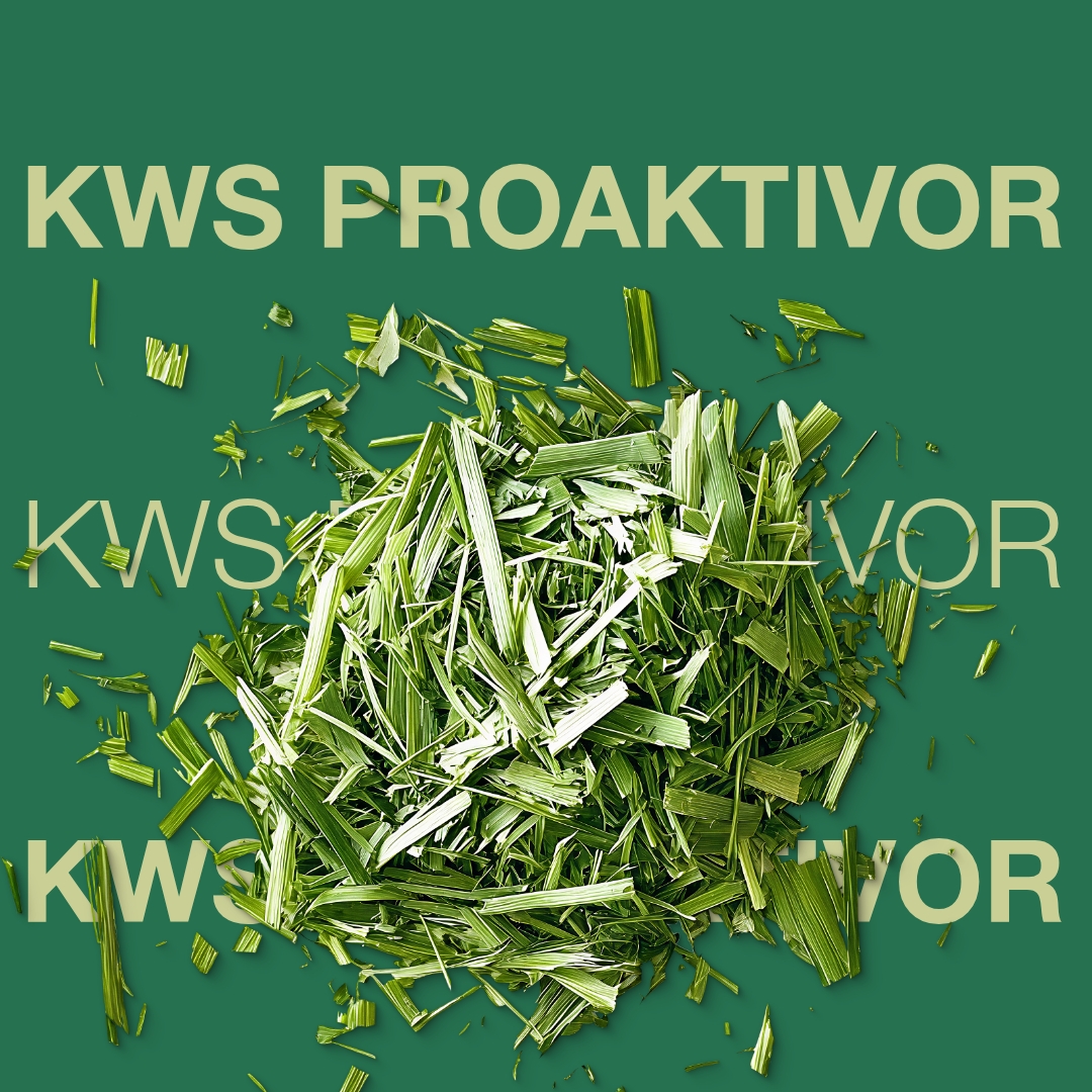 KWS_PROAKTIVOR_Keyvisual_DK.jpg