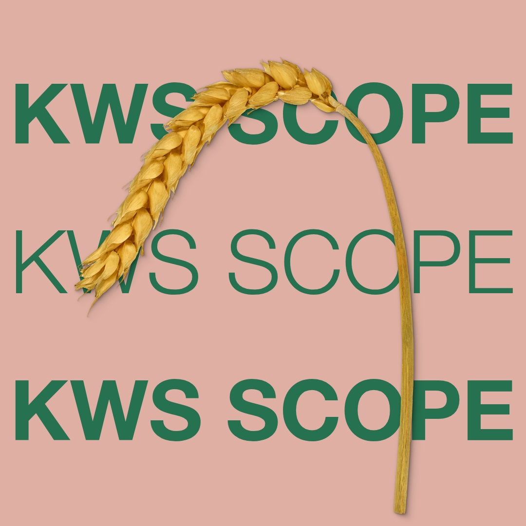 kws_scope_keyvisual_dk_1x1_1.jpg