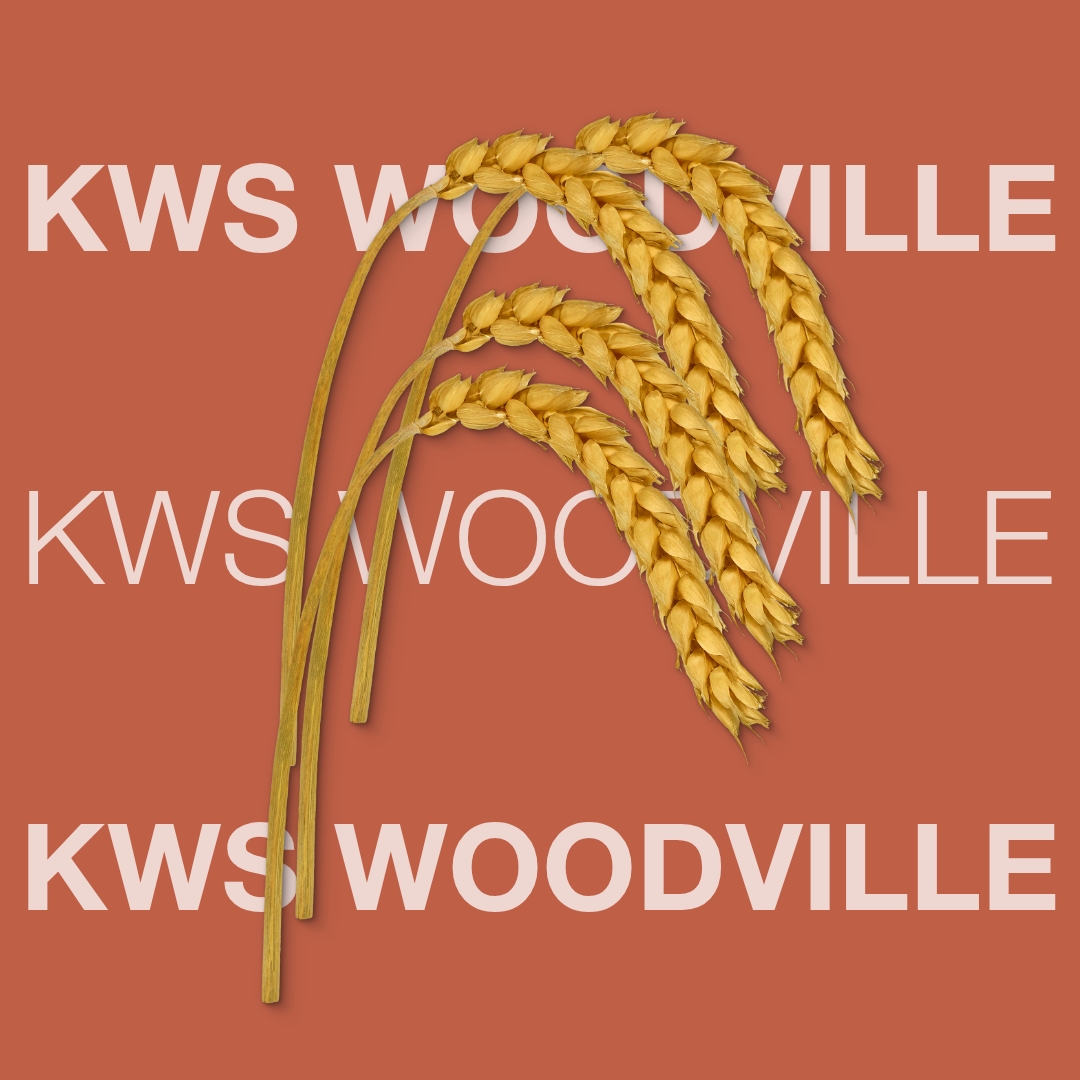 kws_woodville_keyvisual_dk_1x1_1.jpg