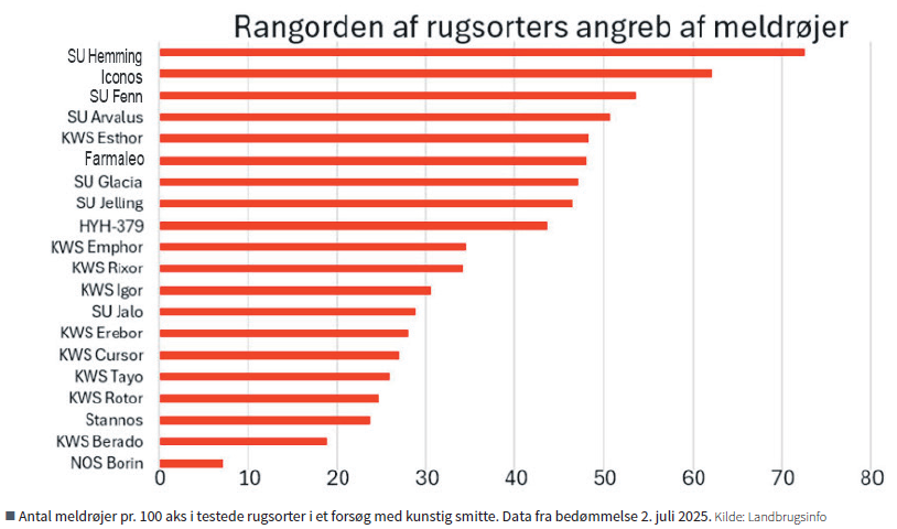 Forsøg med meldrøjer