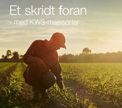 Billede_KWS_majskatalog_2026.png