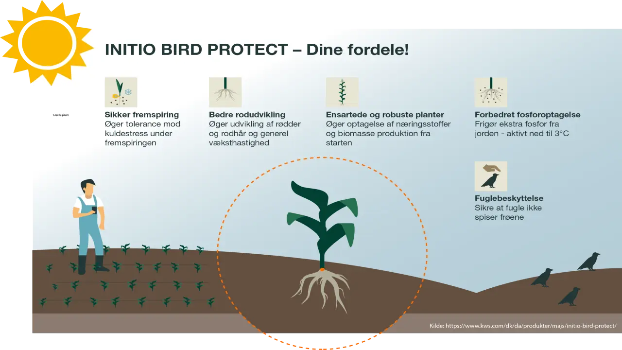 INITIO BIRD PROTECT Dine fordele