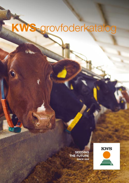 kws_grovfoderkatalog_2025.jpg